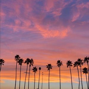 Meet your Posher, Janet